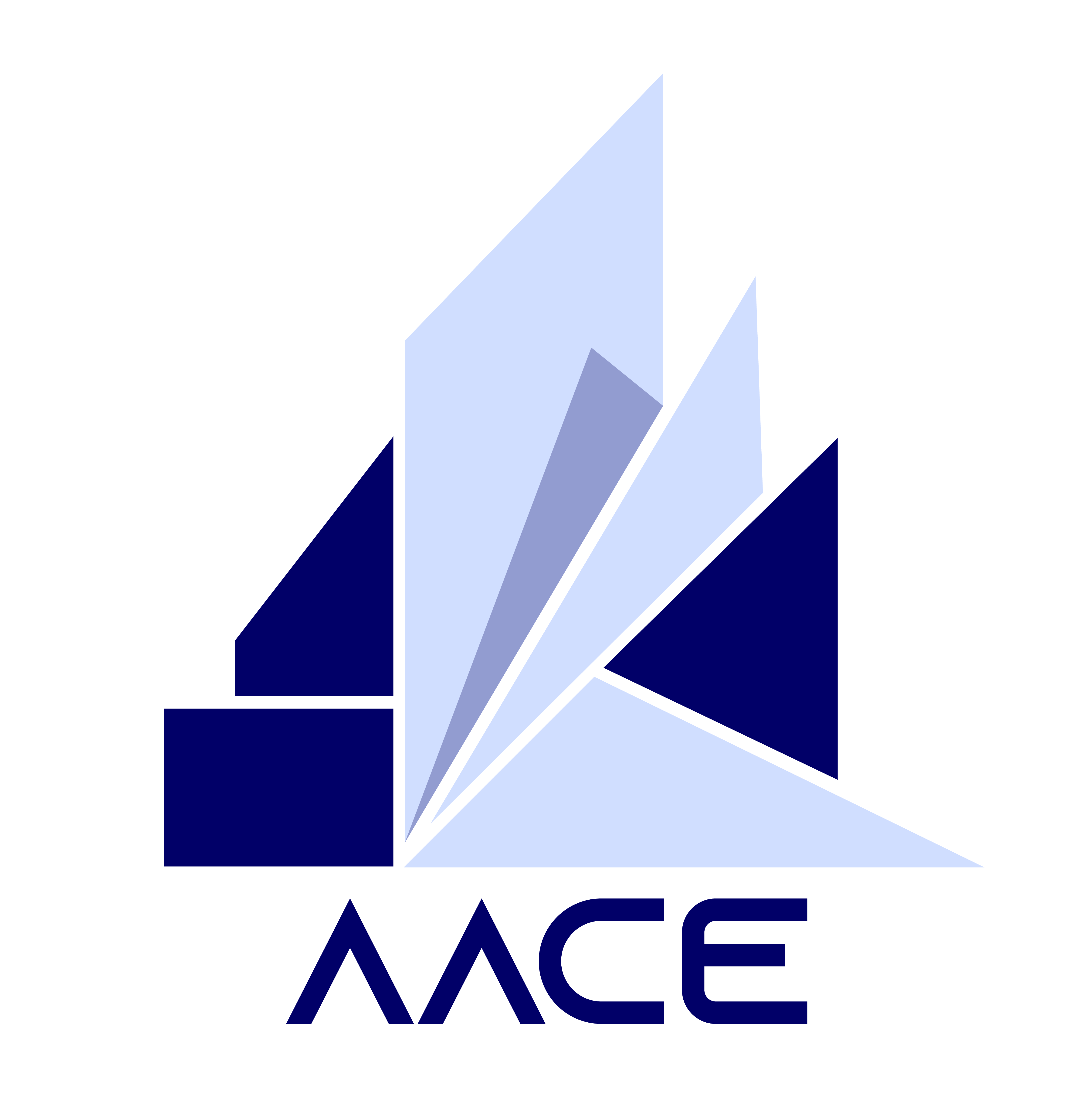 aaceconsultants.com Website